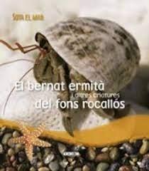 BERNAT ERMITA I ALTRES CRIATURES DEL FONS, EL | 9788499132716 | Llibreria Online de Tremp