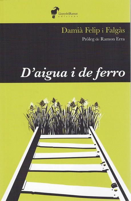 D'AIGUA I DE FERRO | 9788412575255 | Llibreria Online de Tremp