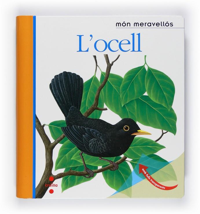 MON MERAVELLOS, L'OCELL | 9788466125161 | Llibreria Online de Tremp