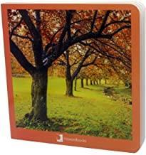 OTOÑO | 9788494585852 | NOWORDBOOKS | Llibreria Online de Tremp