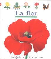 FLOR, LA (CATALA) | 9788476295953 | GALLIMARD JEUNESSE, ÉDITIONS | Llibreria Online de Tremp