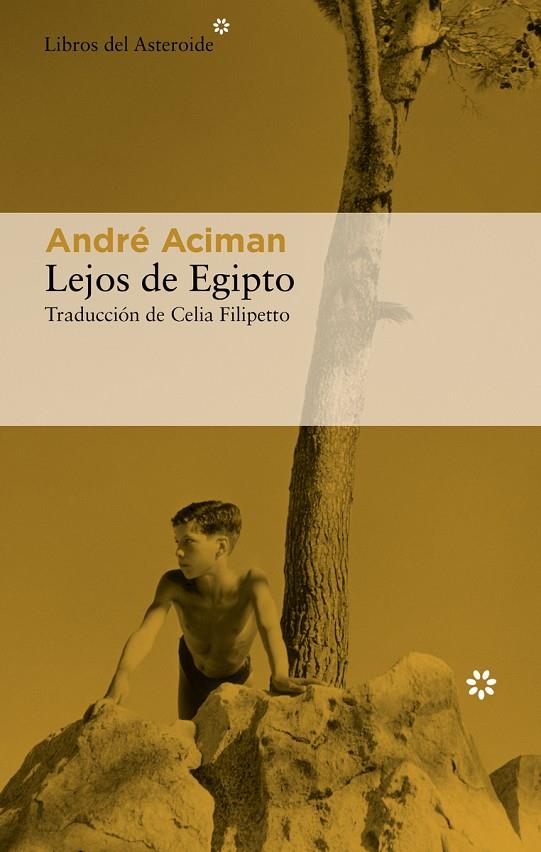 LEJOS DE EGIPTO | 9788417977757 | ACIMAN, ANDRÉ | Llibreria Online de Tremp