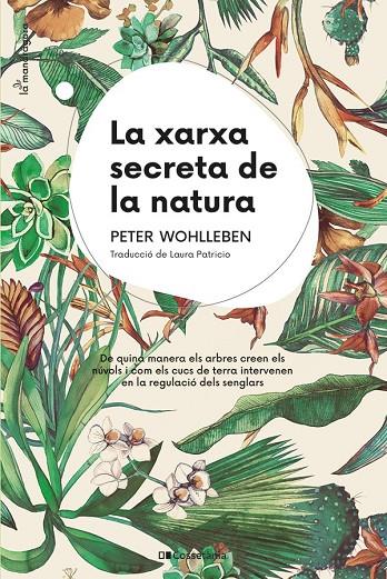 LA XARXA SECRETA DE LA NATURA | 9788413562872 | WOHLLEBEN, PETER | Llibreria Online de Tremp