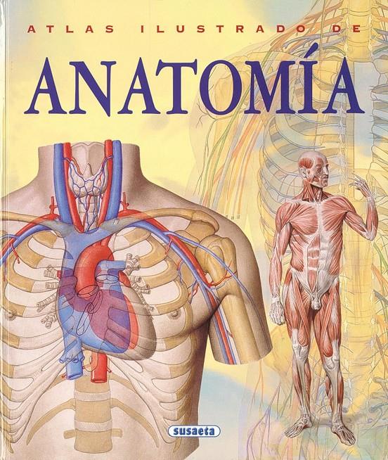 ATLAS ILUSTRADO DE ANATOMIA | 9788430534784 | RIGUTTI, ADRIANA | Llibreria Online de Tremp