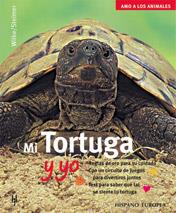 MI TORTUGA Y YO | 9788425514913 | STEIMER, WILKE | Llibreria Online de Tremp