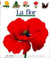 FLOR, LA | 9788434835375 | METTLER, RENÉ/DELAFOSSE, CLAUDE/GALLIMARD JEUNESSE, ÉDITIONS | Llibreria Online de Tremp