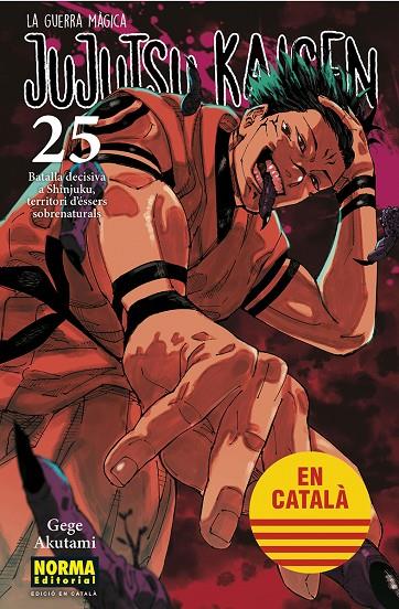 JUJUTSU KAISEN 25 CATALA | 9788467969979 | AKUTAMI, GEGE | Llibreria Online de Tremp