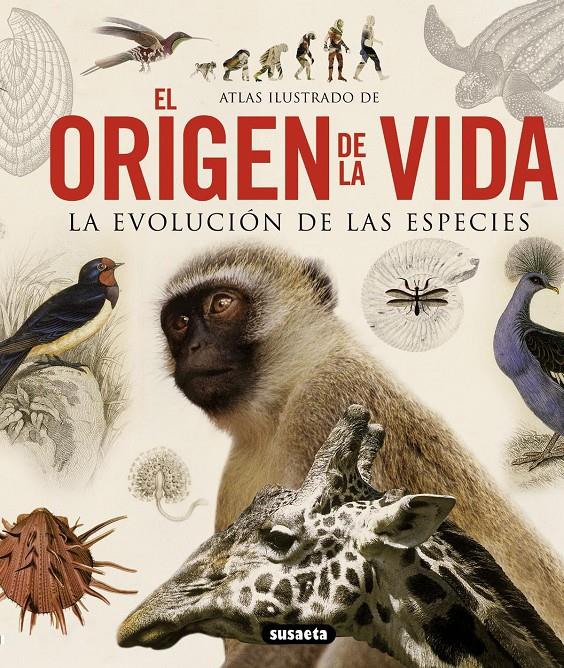 ORIGEN DE LA VIDA, EL | 9788467713336 | Llibreria Online de Tremp