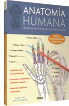 ANATOMÍA HUMANA | 9789089986580 | ALBERTINE, KURT H. | Llibreria Online de Tremp