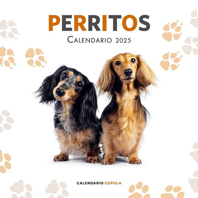 CALENDARIO PERRITOS 2025 | 9788448041649 | AA. VV. | Llibreria Online de Tremp