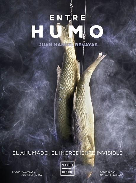 ENTRE HUMO | 9788408271048 | BENAYAS, JUAN MANUEL | Llibreria Online de Tremp