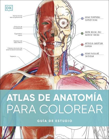 ATLAS DE ANATOMÍA PARA COLOREAR | 9780241703090 | DK | Llibreria Online de Tremp