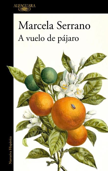 A VUELO DE PÁJARO | 9788420477978 | SERRANO, MARCELA | Llibreria Online de Tremp