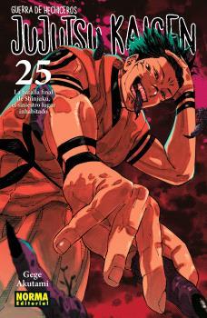 JUJUTSU KAISEN 25 | 9788467971743 | AKUTAMI, GEGE | Llibreria Online de Tremp