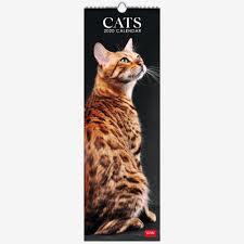 CALENDAR 2020 "CATS" | 8051739303889 | Llibreria Online de Tremp