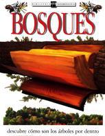 BOSQUES. DESCUBRE COMO SON LOS ARBOLES POR DENTRO | 9788434862708 | BURNIE, DAVID | Llibreria Online de Tremp