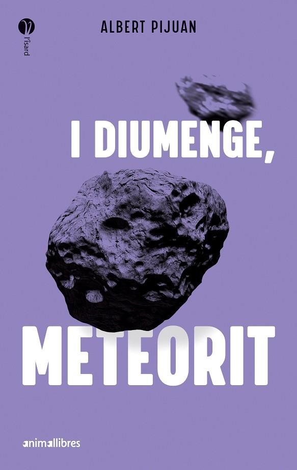 I DIUMENGE, METEORIT | 9788419659415 | ALBERT PIJUAN | Llibreria Online de Tremp