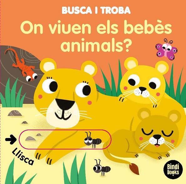 ON VIUEN ELS BEBÈS ANIMALS? | 9788418288005 | BARETTI, SONIA | Llibreria Online de Tremp