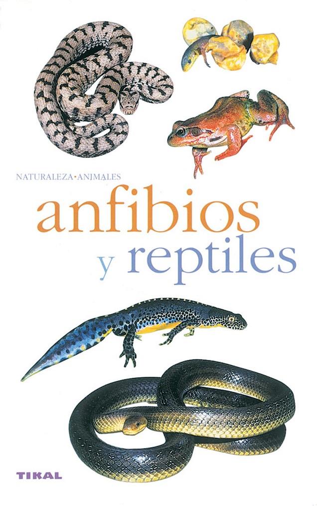 ANFIBIOS Y REPTILES | 9788430553341 | Llibreria Online de Tremp