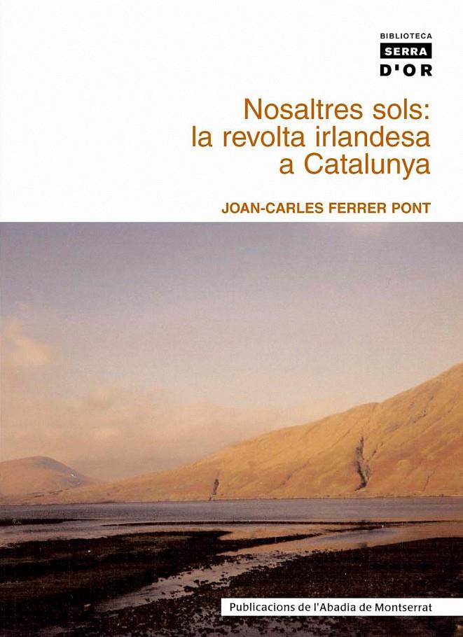 NOSALTRES SOLS : LA REVOLTA IRLANDESA A CATALUNYA | 9788484159131 | FERRER I PONT, JOAN-CARLES | Llibreria Online de Tremp