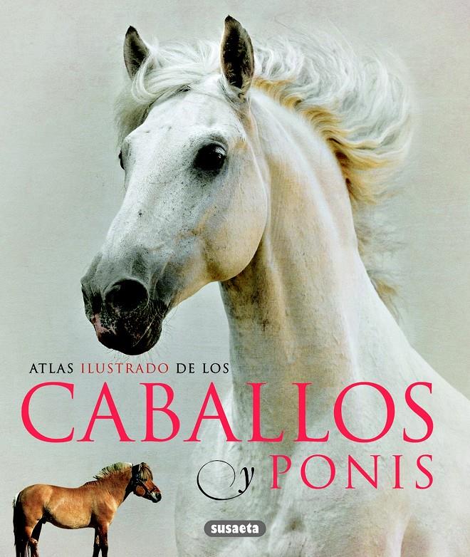 CABALLOS Y PONIS | 9788467713053 | Llibreria Online de Tremp