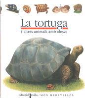 TORTUGA, LA (CATALA) | 9788476298206 | GALLIMARD JEUNESSE, ÉDITIONS | Llibreria Online de Tremp