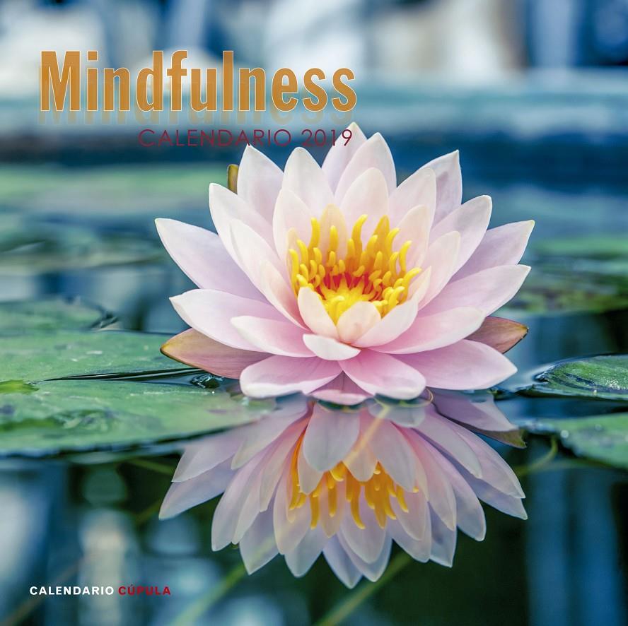 CALENDARIO MINDFULNESS 2019 | 9788448024598 | AA. VV. | Llibreria Online de Tremp