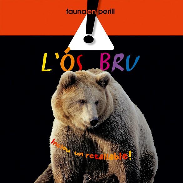 L'ÓS BRU | 9788498255058 | QUERALT, ELISENDA | Llibreria Online de Tremp