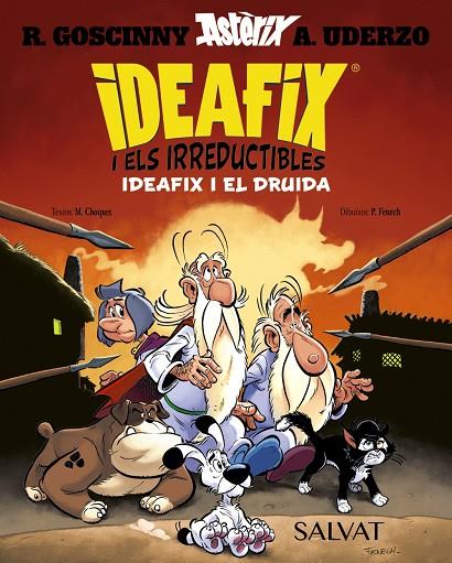 IDEAFIX I ELS IRREDUCTIBLES, 5. IDEAFIX I EL DRUIDA | 9788469643426 | GOSCINNY, RENÉ/CHOQUET, MATTHIEU | Llibreria Online de Tremp