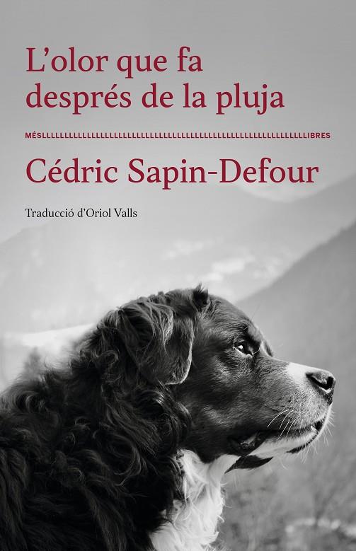 L'OLOR QUE FA DESPRÉS DE LA PLUJA | 9788417353568 | CÉDRIC SAPIN-DEFOUR | Llibreria Online de Tremp