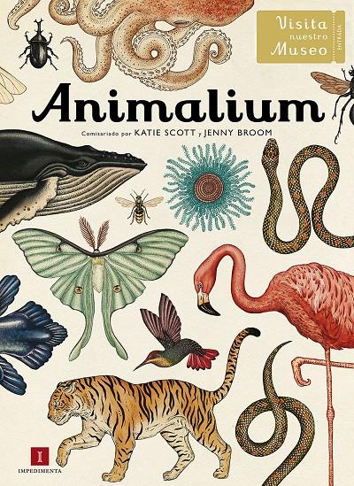 ANIMALIUM | 9788415979463 | Llibreria Online de Tremp