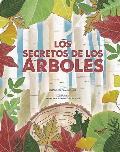 LOS SECRETOS DE LOS ÁRBOLES | 9788491457503 | DOMENICO NOVELLINO, MASSIMO | Llibreria Online de Tremp