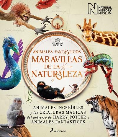 ANIMALES FANTÁSTICOS: MARAVILLAS DE LA NATURALEZA | 9788418637056 | THE NATIONAL HISTORY MUSEUM, | Llibreria Online de Tremp