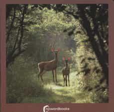 LOS ANIMALES DEL BOSQUE | 9788494174599 | NOWORDBOOKS | Llibreria Online de Tremp