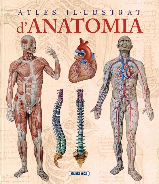 ATLES IL.LUSTRAT D'ANATOMIA | 9788467702101 | Llibreria Online de Tremp