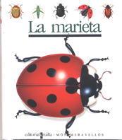 MARIETA, LA | 9788476295250 | GALLIMARD JEUNESSE, ÉDITIONS | Llibreria Online de Tremp