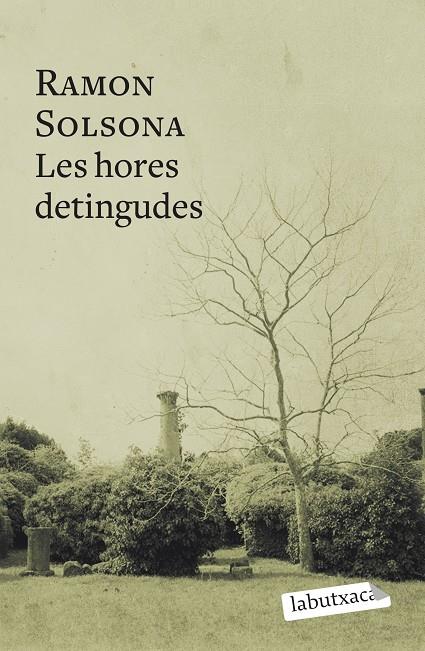 LES HORES DETINGUDES | 9788499302768 | SOLSONA, RAMON