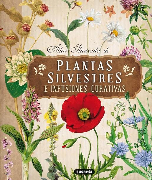 PLANTAS SILVESTRES CON INFUSIONES Y TISANAS | 9788467722864 | Llibreria Online de Tremp