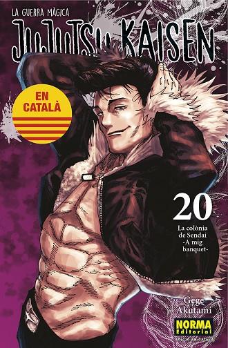 JUJUTSU KAISEN 20 CATALA | 9788467969924 | AKUTAMI, GEGE | Llibreria Online de Tremp