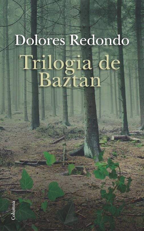 ESTOIG TRILOGIA DE BAZTAN | 9788466419147 | DOLORES REDONDO | Llibreria Online de Tremp