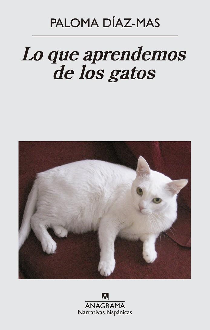 LO QUE APRENDEMOS DE LOS GATOS | 9788433997807 | DÍAZ MAS, PALOMA | Llibreria Online de Tremp