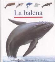 BALENA, LA | 9788482868264 | GALLIMARD JEUNESSE, ÉDITIONS | Llibreria Online de Tremp