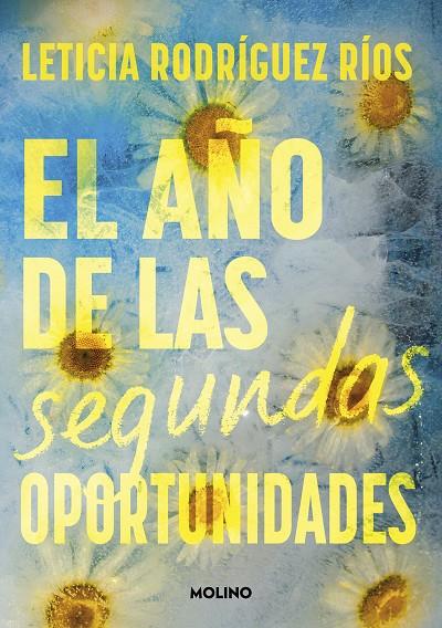 EL AÑO DE LAS SEGUNDAS OPORTUNIDADES | 9788427242807 | RODRÍGUEZ RÍOS, LETICIA | Llibreria Online de Tremp