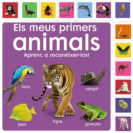 ELS MEUS PRIMERS ANIMALS. APRENC A RECONÈIXER-LOS! | 9788413492476 | SIRETT, DAWN | Llibreria Online de Tremp