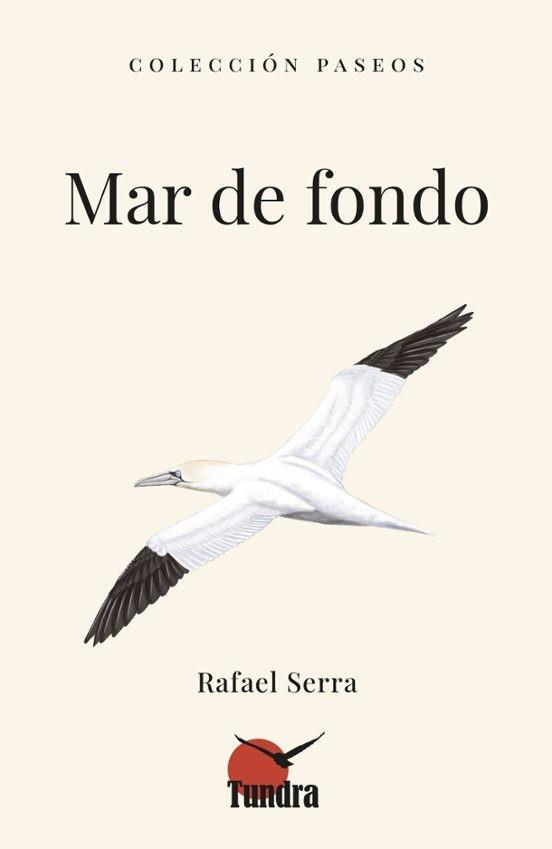 MAR DE FONDO | 9788419624857 | RAFAEL SERRA