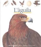 AGUILA, L' | 9788476298220 | GALLIMARD JEUNESSE, ÉDITIONS | Llibreria Online de Tremp