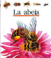 ABEJA, LA | 9788434840362 | FUHR, UTE/SAUTAI, RAOUL | Llibreria Online de Tremp