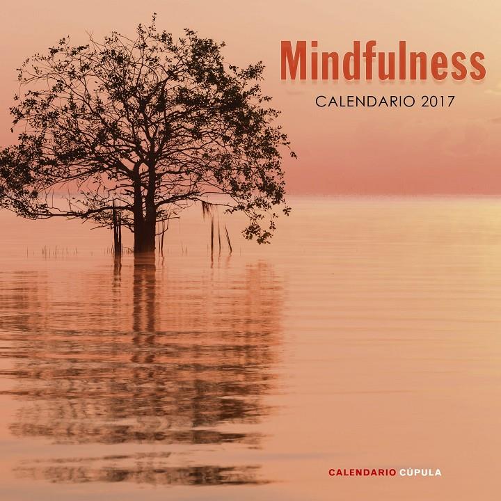 CALENDARIO MINDFULNESS 2017 | 9788448022662 | AA. VV. | Llibreria Online de Tremp