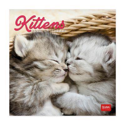 CALENDARI KITTENS 2022 | 8054320561576 | Llibreria Online de Tremp