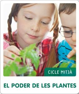 FEM-HO PER PROJECTES (CM). EL PODER DE LES PLANTES | 9788441232532 | GONZÁLEZ PÉREZ, NÚRIA | Llibreria Online de Tremp